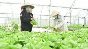 Xây dựng Nhà máy chế biến rau, củ, quả, tỉnh Kon Tum - A 4 3 2