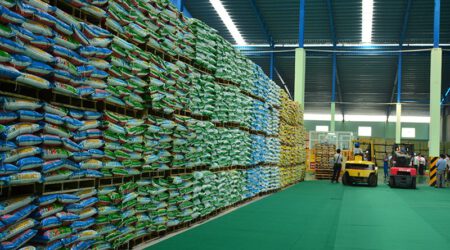 Dự án nhà máy sản xuất hữu cơ vi sinh, tỉnh Kon Tum - A 2 6 1