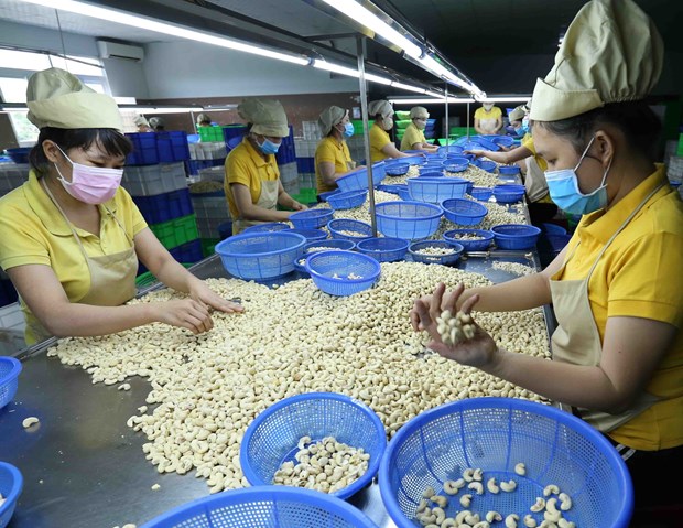 Các doanh nghiệp tận dụng cơ hội thị trường để đẩy mạnh xuất khẩu. (Ảnh: TTXVN)