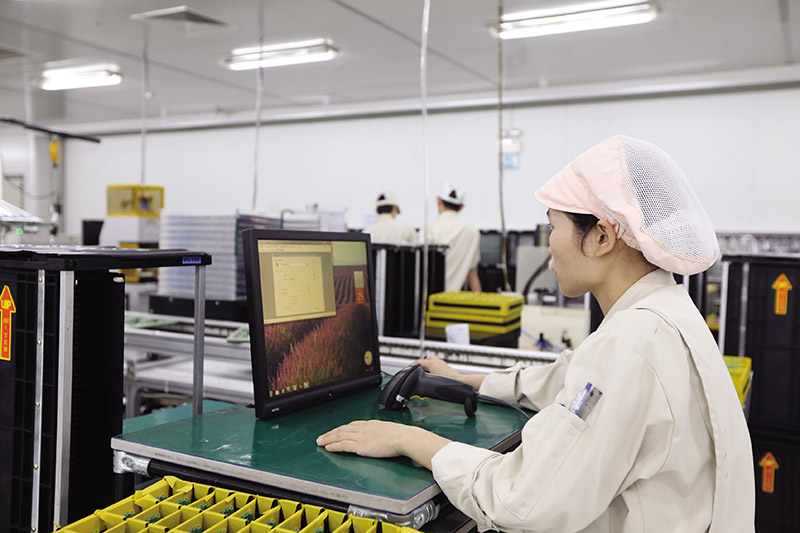 Ngập ngừng trước khi đưa ra quyết định đầu tư lớn 20 c4