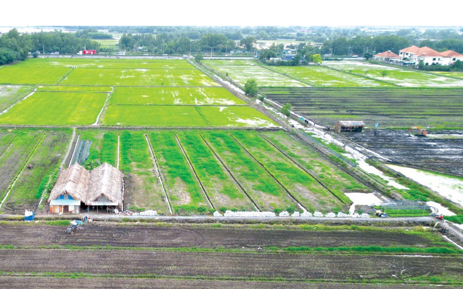 Trước 15/4: Trình phương án miễn, giảm, giãn, hoãn, gia hạn thuế phí, tiền thuê đất năm 2023 11 datnn 1681023410243481873088 0 417 536 1275 crop 16810234289521828836