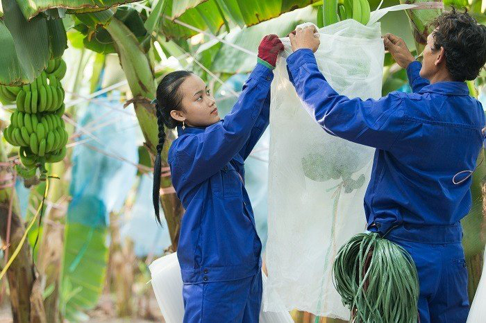 Những ‘đại gia’ đầu tư ra nước ngoài của Việt Nam là ai? 1 z1
