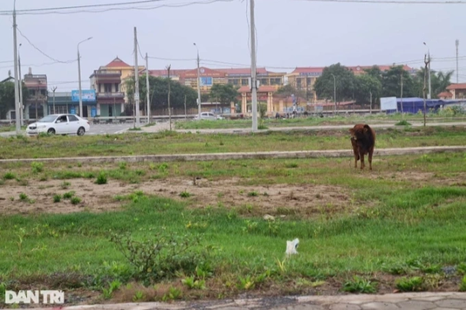 Không cứu thời gian này, doanh nghiệp Bất động sản sẽ "chết" trên đống tài sản 2 a2