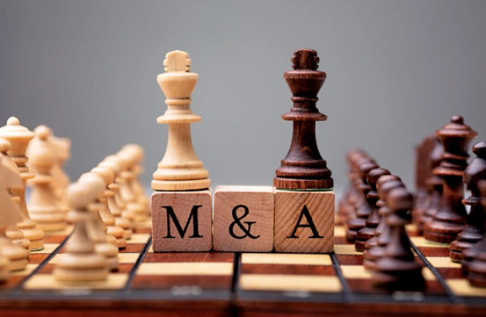 Dịch vụ tư vấn mua bán M&A mà FDI Việt Nam cung cấp 1 MA Image