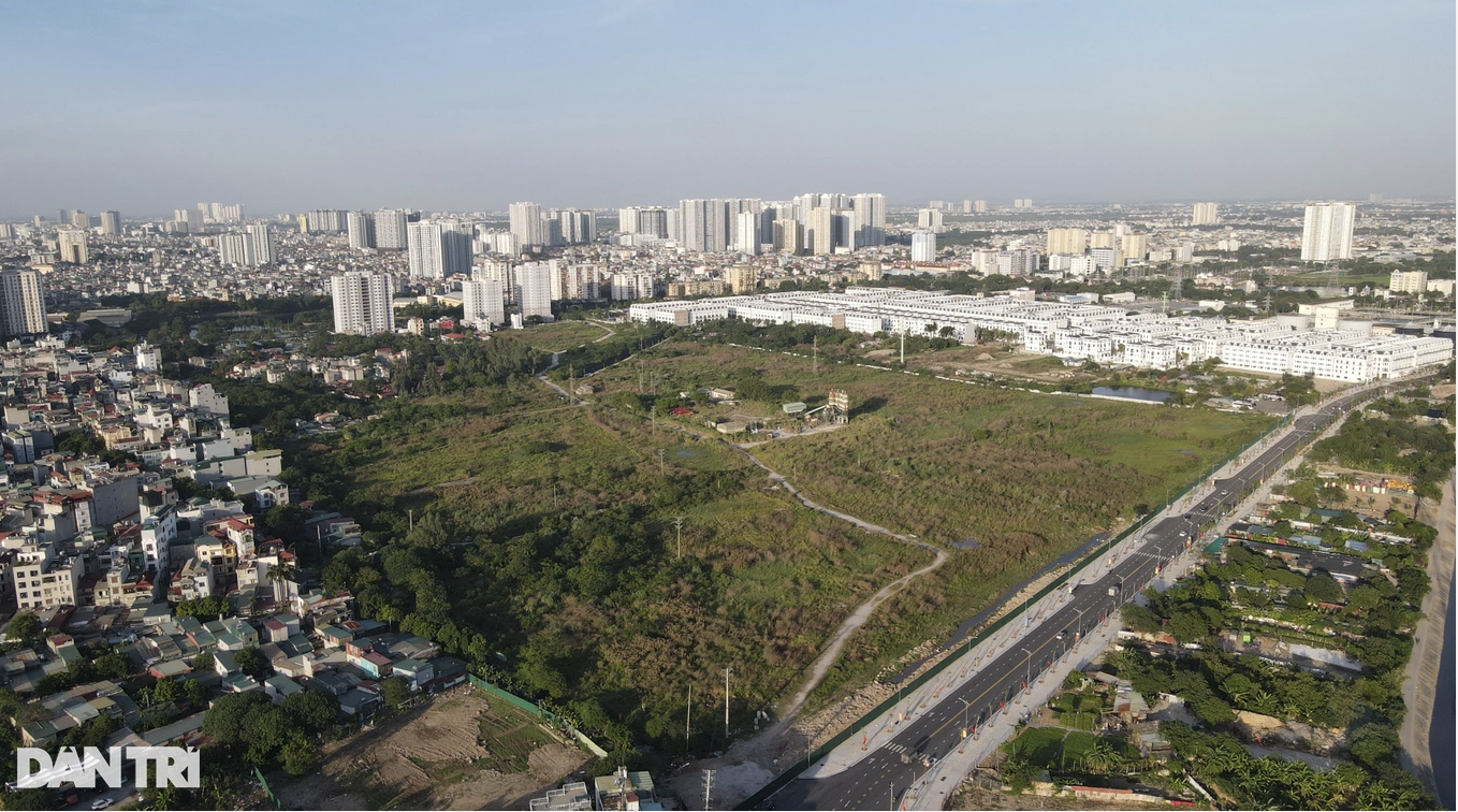 dự án