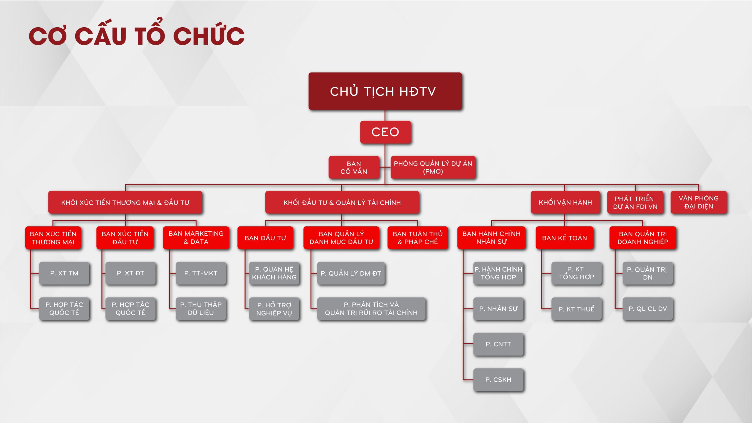 Đội ngũ lãnh đạo 2 Co cau to chuc 01 scaled