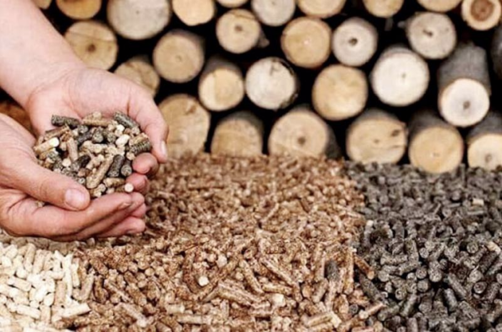 Nhiều doanh nghiệp muốn đầu tư nhà máy sản xuất viên nén năng lượng tại Quảng Trị 2 Anh man hinh 2024 03 05 luc 13.51.13