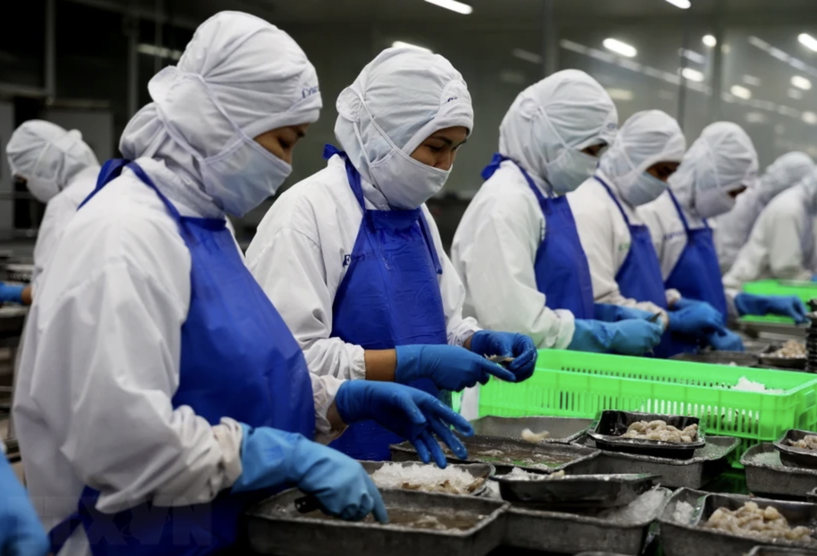Hơn 176,7 triệu USD đầu tư vào khu công nghiệp ở Thành phố Hồ Chí Minh 1 đầu tư