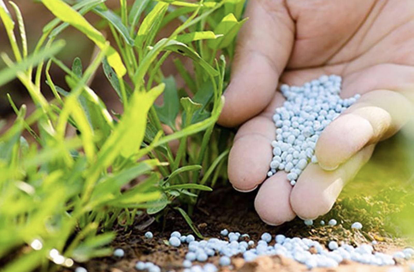 Chính phủ yêu cầu Bộ Tài chính hoàn thiện Luật Thuế giá trị gia tăng, thêm 12 loại hàng chịu thuế 1 luật