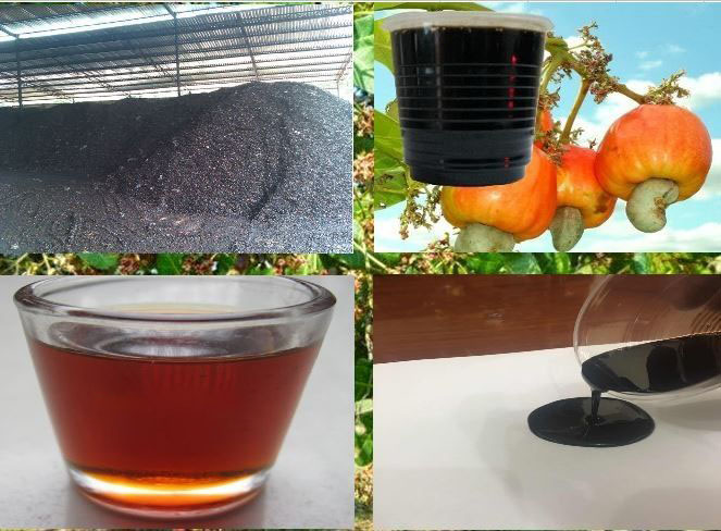 Nhà máy sản xuất dầu từ vỏ hạt điều tinh lọc xuất khẩu - Bình Phước 4 dau tu vo hat dieu la loai san pham phu quy gia cua nganh dieu viet nam