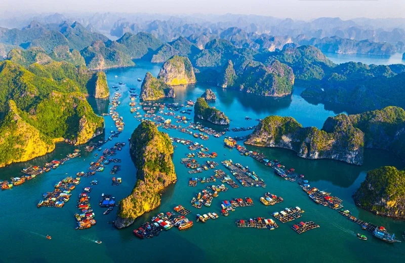 Hải Phòng thu ngân sách gần 58.000 tỷ đồng chỉ trong 4 tháng 2 hải phòng thu ngân sách